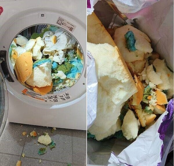 網友分享他老婆將乳膠枕拿去烘乾,殊不知烘完後枕頭直接爆開,裡面的填充物神似海綿蛋糕。圖/臉書社團「爆廢公社二館」